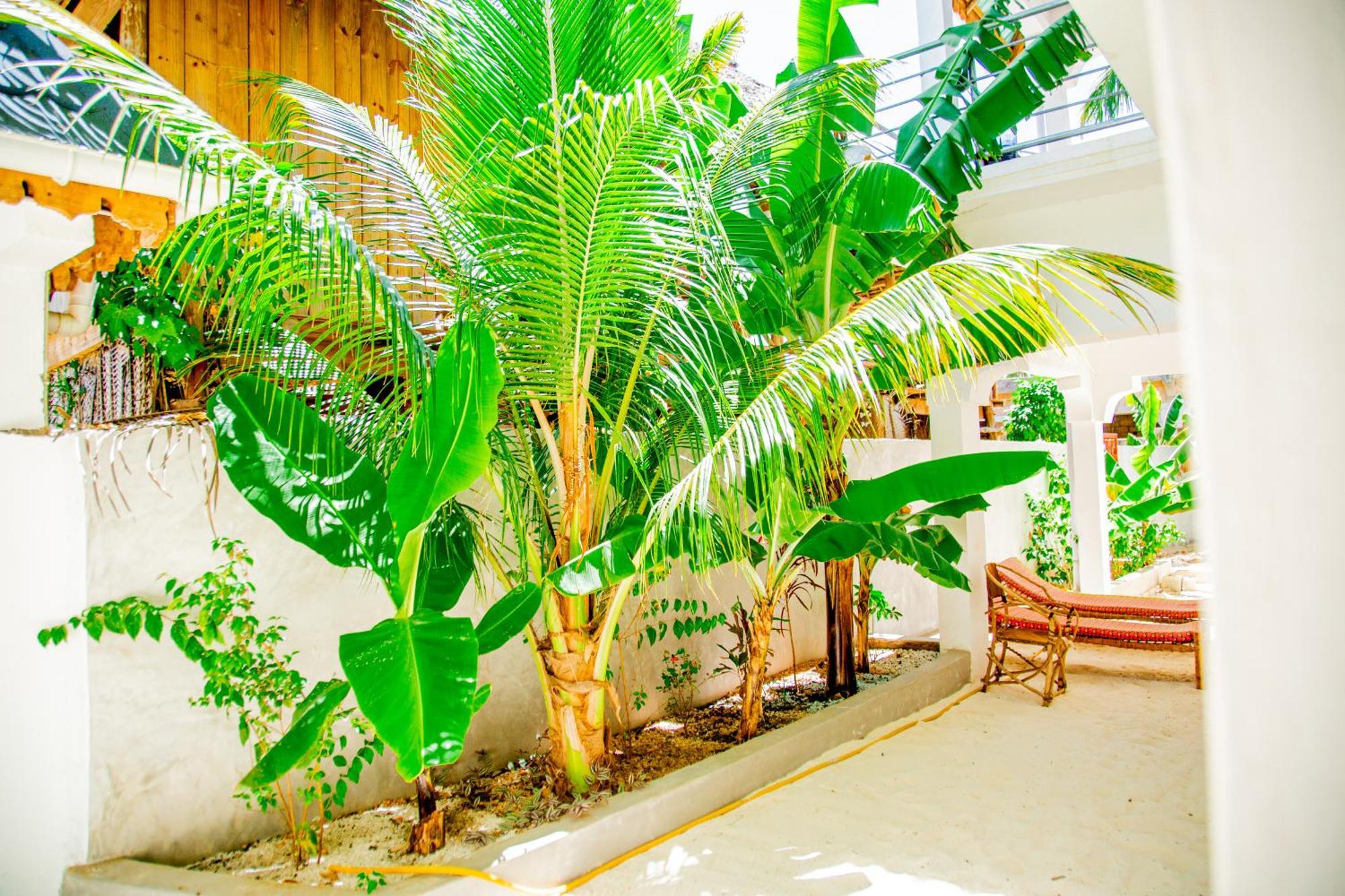Pamoja Beach Stays Hotel In Jambiani Джамбиани Экстерьер фото